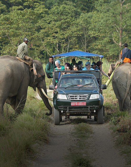 Chitwan jeep safari tour